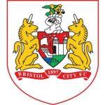 bristol city badge